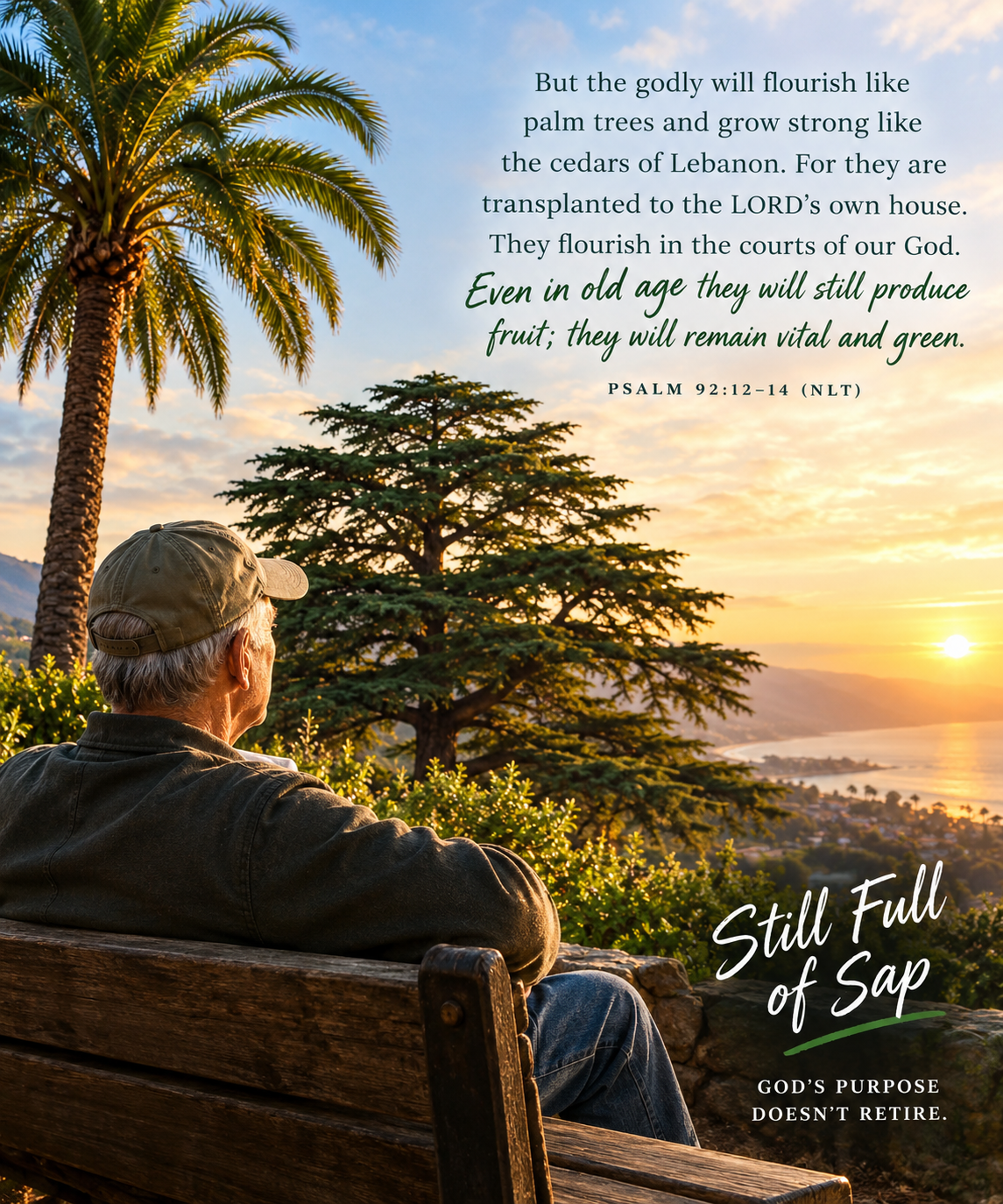 An older man in a ball cap sits on a bench at sunset, looking at a palm tree and a cedar. Text: "But the godly will flourish like palm trees and grow strong like the cedars of Lebanon… Even in old age they will still produce fruit; they will remain vital and green." Psalm 92:12–14 (NLT). Still Full of Sap: God’s purpose doesn’t retire.
